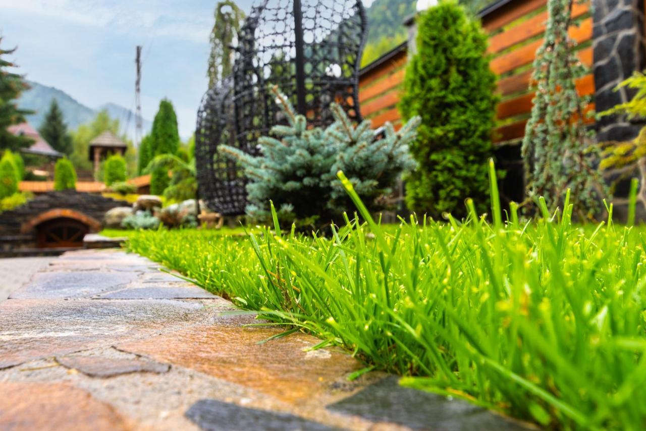 Pensiunea Paradisul Verde Moisei Εξωτερικό φωτογραφία